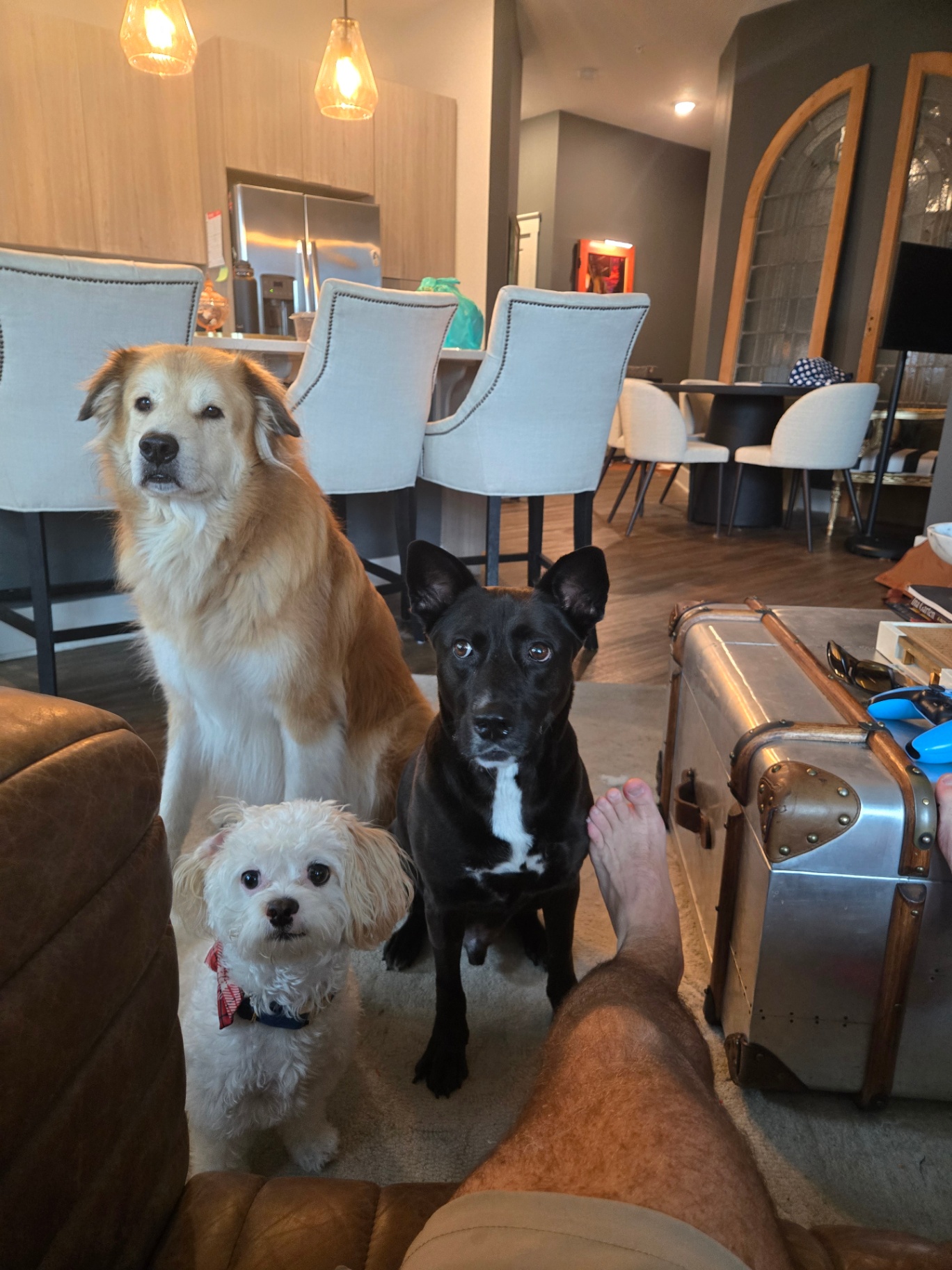 Three resort guests waiting patiently in the living room