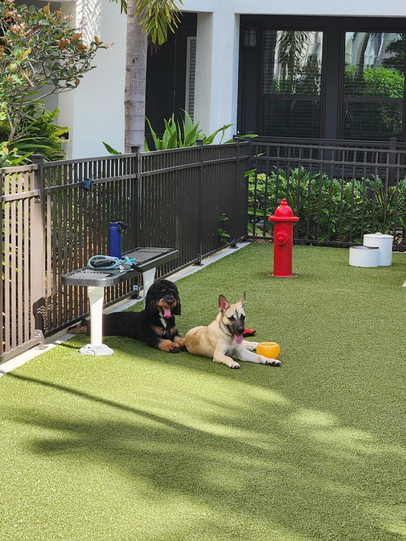 Two guests relaxing together in the shaded turf play yard