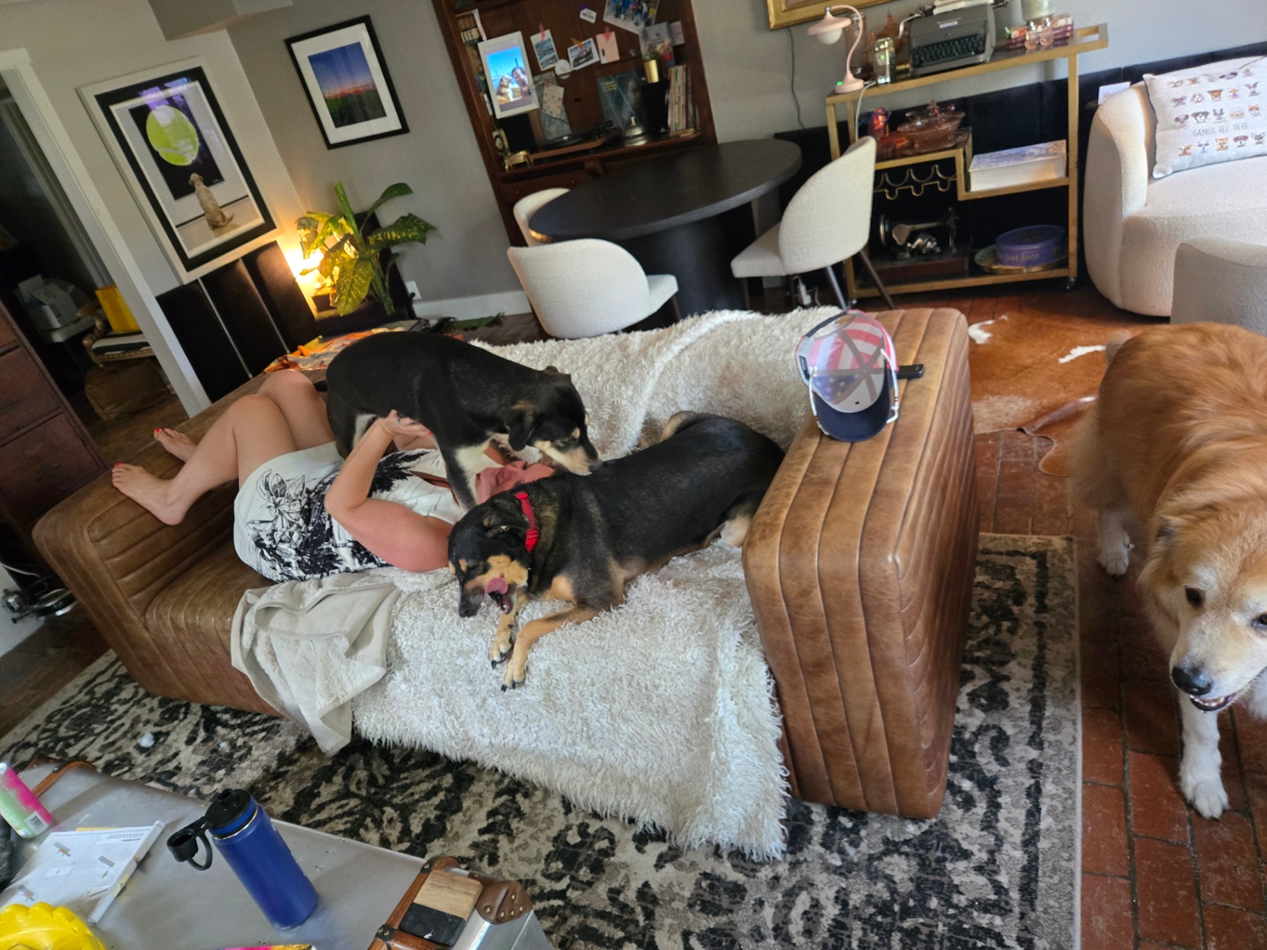 Two dogs cuddled up with a caregiver on the couch